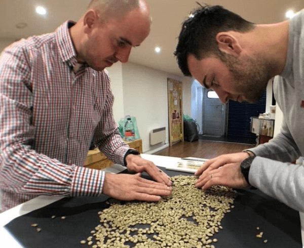 SCA Green Coffee Intermediate | London School of Coffee